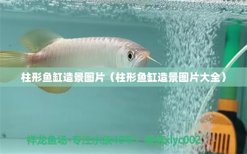 柱形魚缸造景圖片（柱形魚缸造景圖片大全）