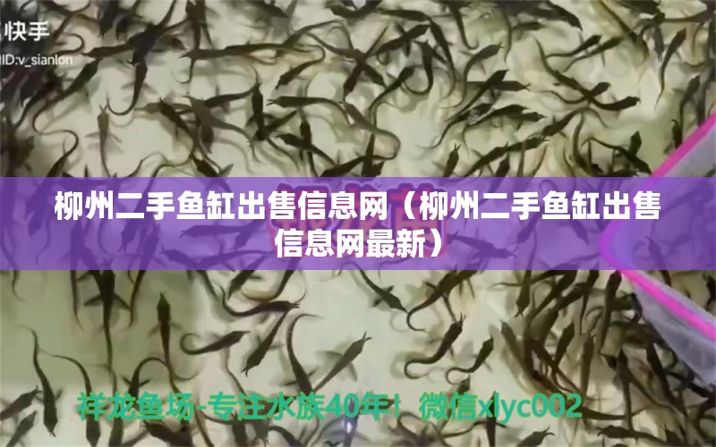 柳州二手魚(yú)缸出售信息網(wǎng)（柳州二手魚(yú)缸出售信息網(wǎng)最新）