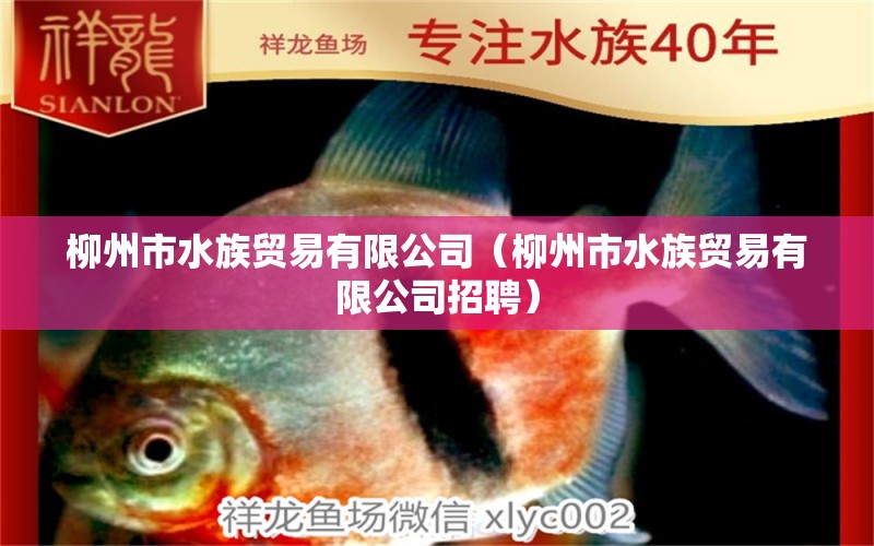 柳州市水族貿(mào)易有限公司（柳州市水族貿(mào)易有限公司招聘）