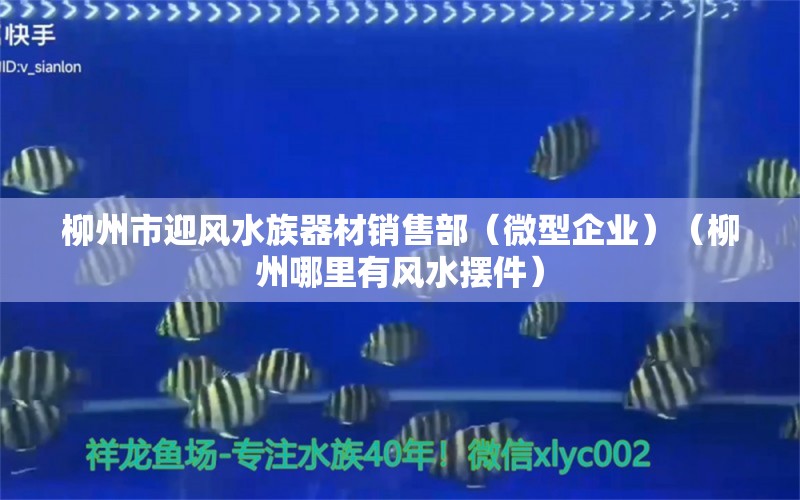 柳州市迎風水族器材銷售部（微型企業(yè)）（柳州哪里有風水擺件）