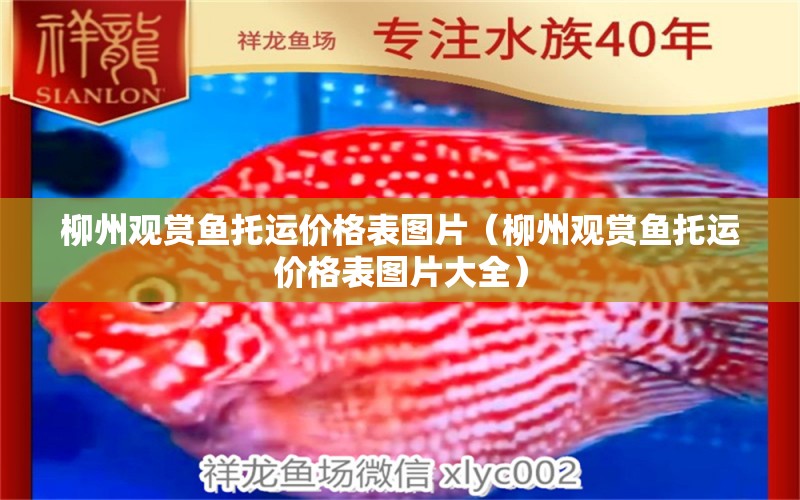 柳州觀賞魚托運(yùn)價格表圖片（柳州觀賞魚托運(yùn)價格表圖片大全）