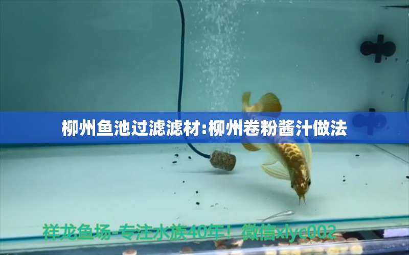 柳州魚池過(guò)濾濾材:柳州卷粉醬汁做法 廣州水族器材濾材批發(fā)市場(chǎng)