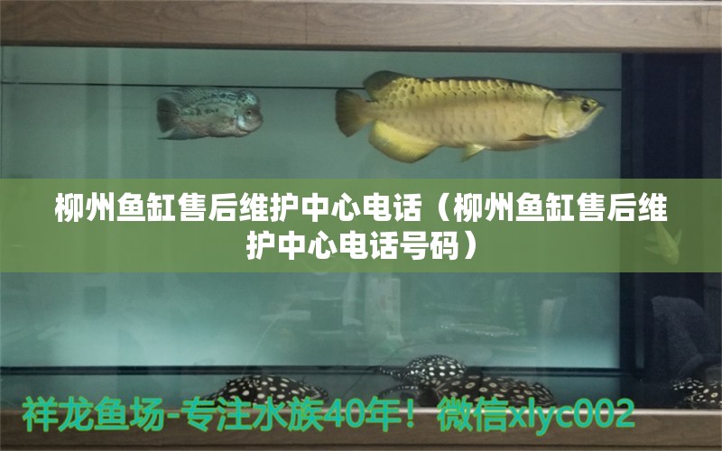 柳州魚缸售后維護中心電話（柳州魚缸售后維護中心電話號碼） 其他品牌魚缸