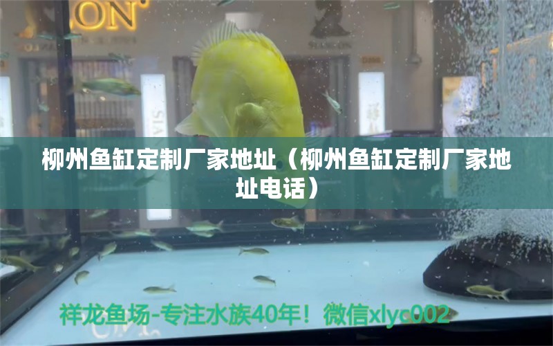 柳州魚缸定制廠家地址（柳州魚缸定制廠家地址電話）