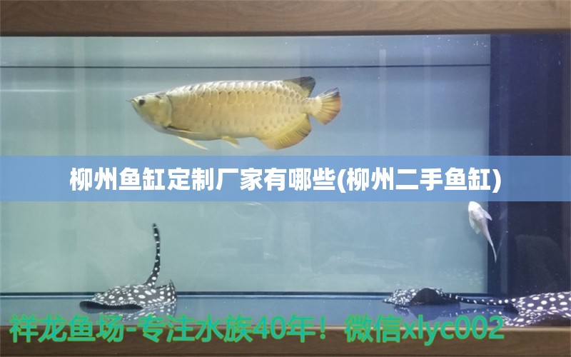 柳州魚缸定制廠家有哪些(柳州二手魚缸) 一眉道人魚苗