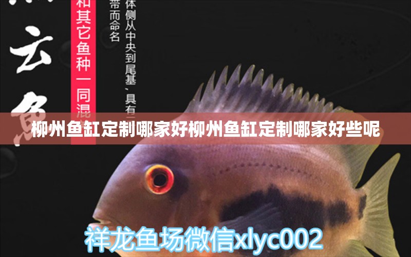 柳州魚缸定制哪家好柳州魚缸定制哪家好些呢 海水魚（海水魚批發(fā)）