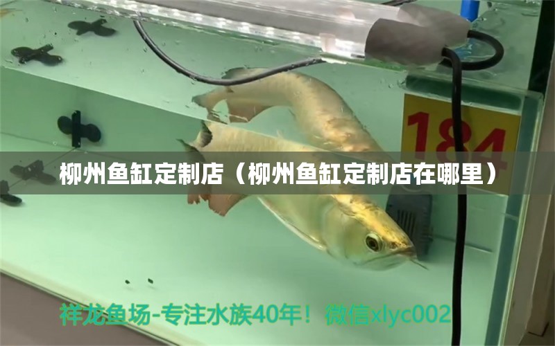 柳州魚缸定制店（柳州魚缸定制店在哪里） 其他品牌魚缸