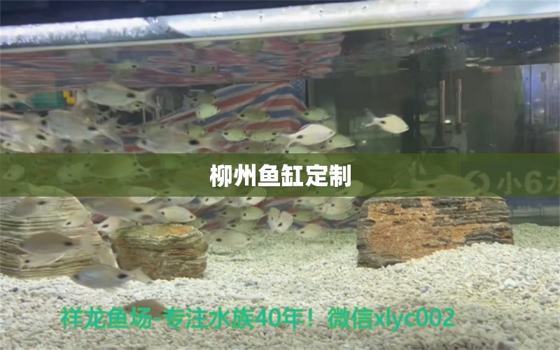 柳州魚缸定制