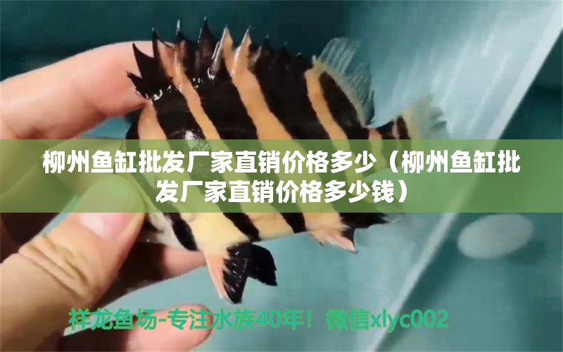 柳州魚缸批發(fā)廠家直銷價格多少（柳州魚缸批發(fā)廠家直銷價格多少錢）