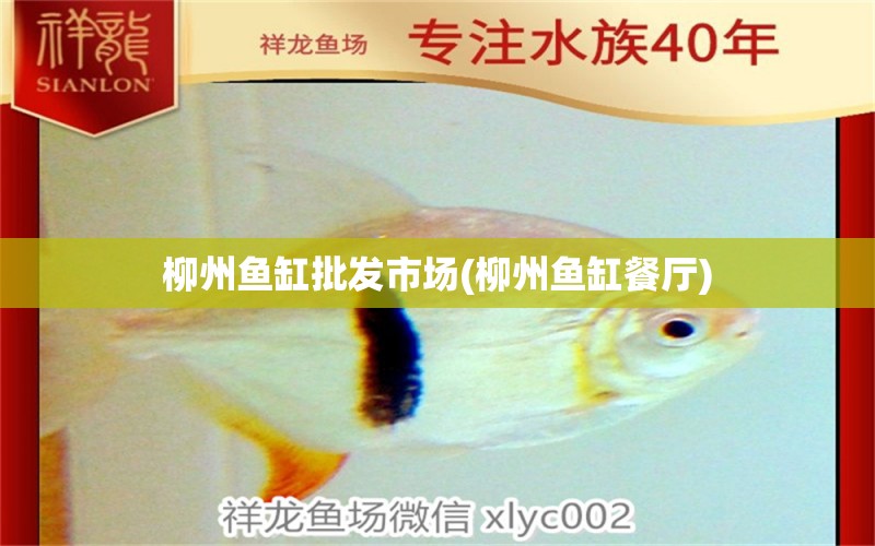 柳州魚(yú)缸批發(fā)市場(chǎng)(柳州魚(yú)缸餐廳) 祥禾Super Red紅龍魚(yú)