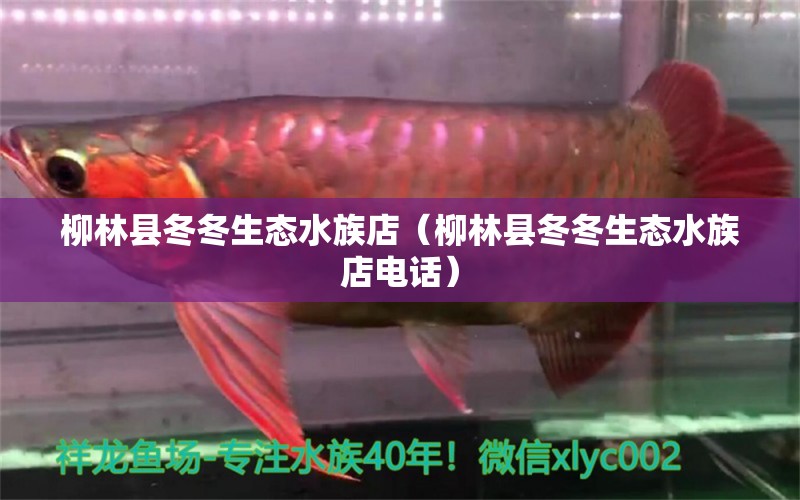 柳林縣冬冬生態(tài)水族店（柳林縣冬冬生態(tài)水族店電話） 全國水族館企業(yè)名錄