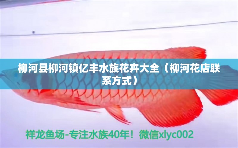 柳河縣柳河鎮(zhèn)億豐水族花卉大全（柳河花店聯(lián)系方式） 全國水族館企業(yè)名錄