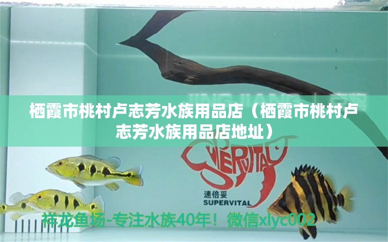 棲霞市桃村盧志芳水族用品店（棲霞市桃村盧志芳水族用品店地址）