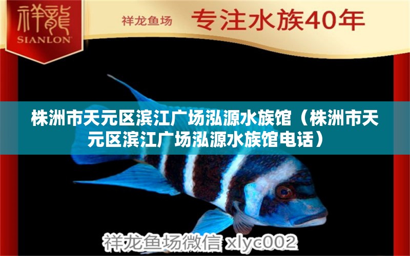 株洲市天元區(qū)濱江廣場泓源水族館（株洲市天元區(qū)濱江廣場泓源水族館電話） 全國水族館企業(yè)名錄