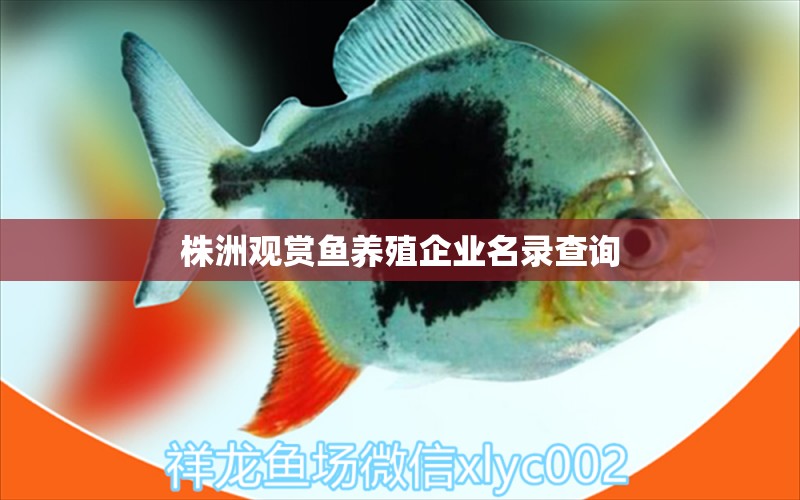 株洲觀賞魚養(yǎng)殖企業(yè)名錄查詢