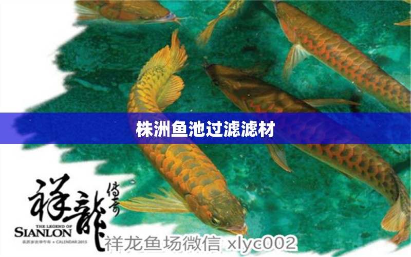 株洲魚池過濾濾材 廣州水族器材濾材批發(fā)市場