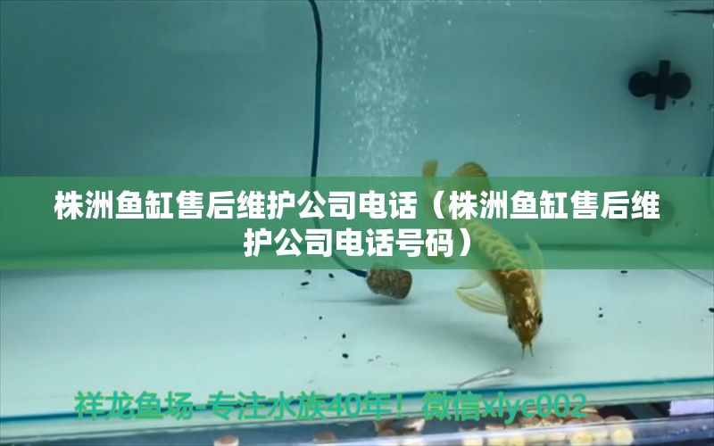 株洲魚(yú)缸售后維護(hù)公司電話（株洲魚(yú)缸售后維護(hù)公司電話號(hào)碼）