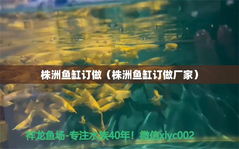 株洲魚缸訂做（株洲魚缸訂做廠家） 廣州龍魚批發(fā)市場