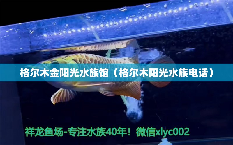 格爾木金陽光水族館（格爾木陽光水族電話）