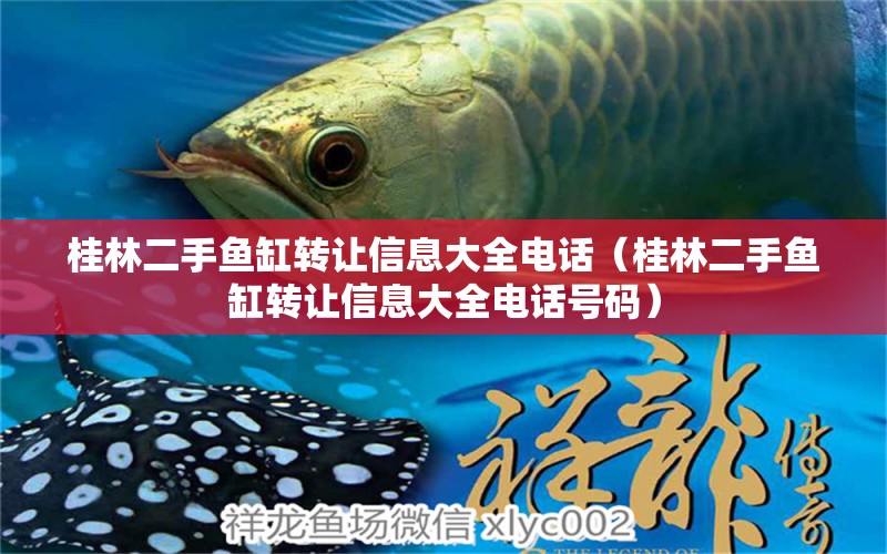 桂林二手魚缸轉(zhuǎn)讓信息大全電話（桂林二手魚缸轉(zhuǎn)讓信息大全電話號(hào)碼）