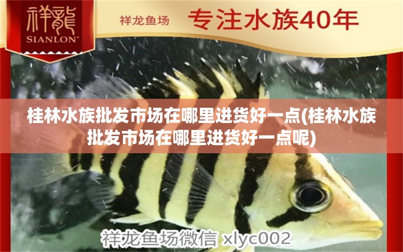 桂林水族批發(fā)市場在哪里進(jìn)貨好一點(桂林水族批發(fā)市場在哪里進(jìn)貨好一點呢) 觀賞魚水族批發(fā)市場