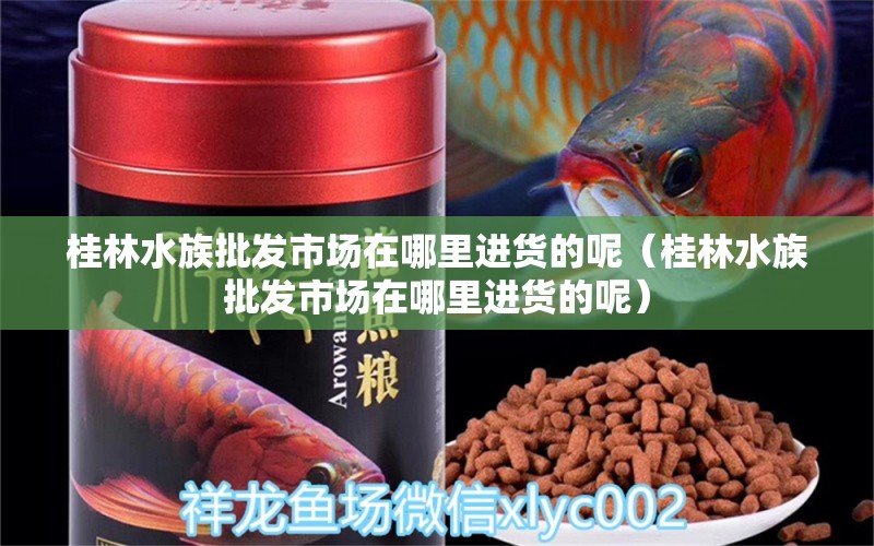 桂林水族批發(fā)市場(chǎng)在哪里進(jìn)貨的呢（桂林水族批發(fā)市場(chǎng)在哪里進(jìn)貨的呢） 馬來(lái)西亞貓山王榴蓮