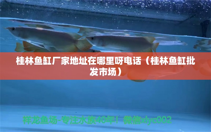 桂林魚缸廠家地址在哪里呀電話（桂林魚缸批發(fā)市場(chǎng)）