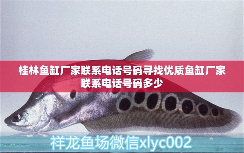 桂林魚缸廠家聯(lián)系電話號碼尋找優(yōu)質(zhì)魚缸廠家聯(lián)系電話號碼多少