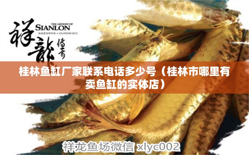 桂林魚(yú)缸廠家聯(lián)系電話多少號(hào)（桂林市哪里有賣(mài)魚(yú)缸的實(shí)體店） 觀賞魚(yú)批發(fā)