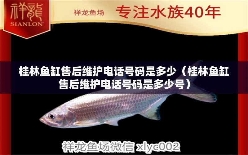 桂林魚(yú)缸售后維護(hù)電話號(hào)碼是多少（桂林魚(yú)缸售后維護(hù)電話號(hào)碼是多少號(hào)）