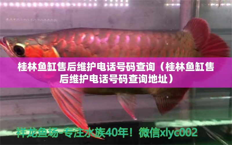 桂林魚缸售后維護(hù)電話號(hào)碼查詢（桂林魚缸售后維護(hù)電話號(hào)碼查詢地址）