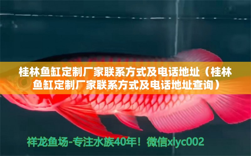 桂林魚缸定制廠家聯(lián)系方式及電話地址（桂林魚缸定制廠家聯(lián)系方式及電話地址查詢）