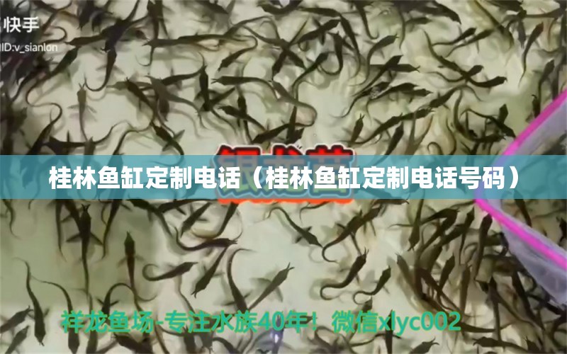 桂林魚缸定制電話（桂林魚缸定制電話號(hào)碼）