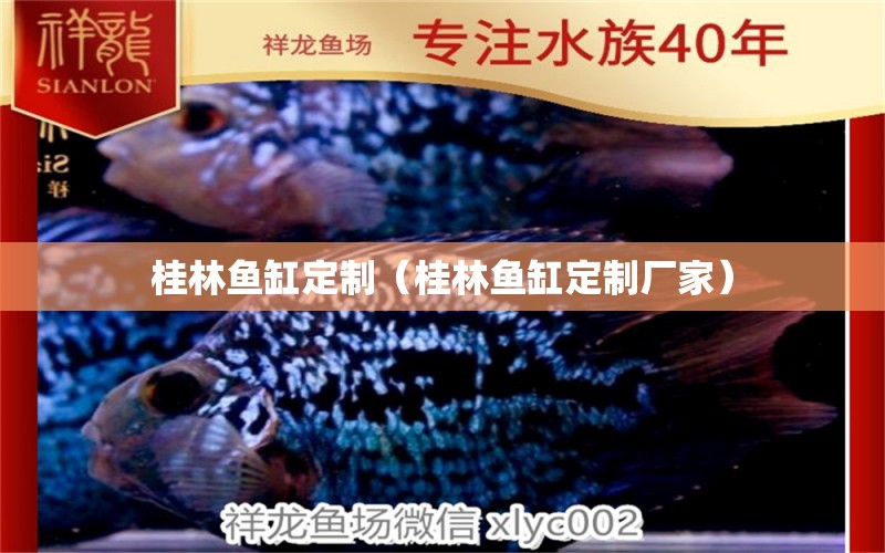 桂林魚缸定制（桂林魚缸定制廠家）