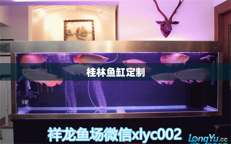 桂林魚缸定制