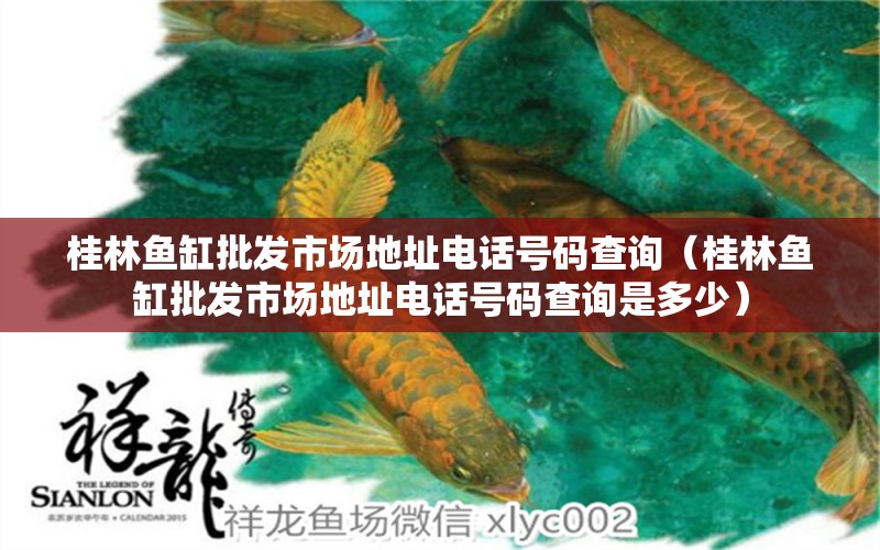 桂林魚缸批發(fā)市場地址電話號碼查詢（桂林魚缸批發(fā)市場地址電話號碼查詢是多少）