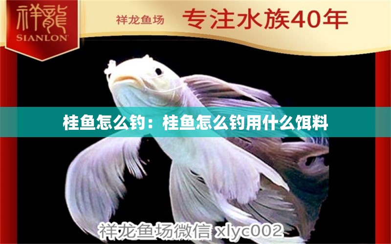 桂魚怎么釣：桂魚怎么釣用什么餌料