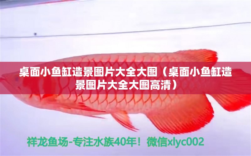 桌面小魚缸造景圖片大全大圖（桌面小魚缸造景圖片大全大圖高清） 魚缸百科 第1張