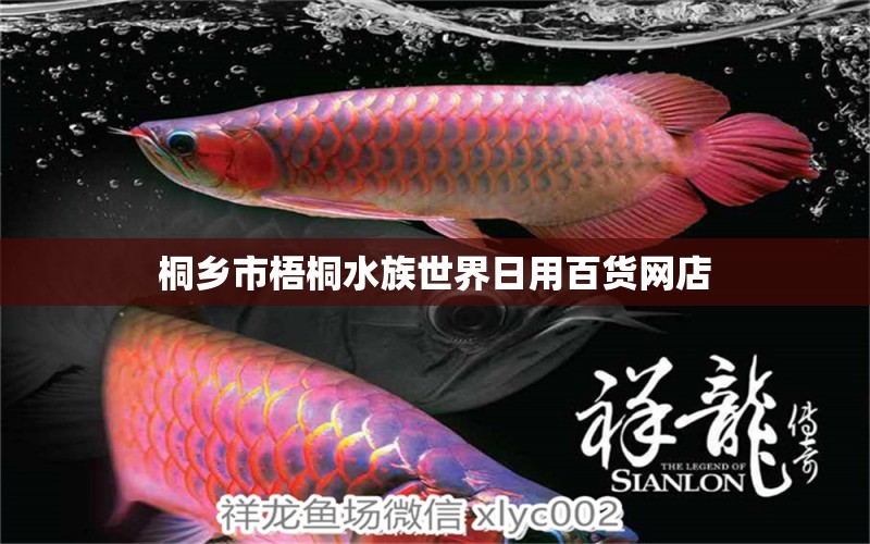 桐鄉(xiāng)市梧桐水族世界日用百貨網(wǎng)店 全國水族館企業(yè)名錄