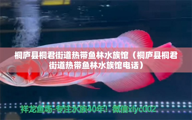 桐廬縣桐君街道熱帶魚林水族館（桐廬縣桐君街道熱帶魚林水族館電話）