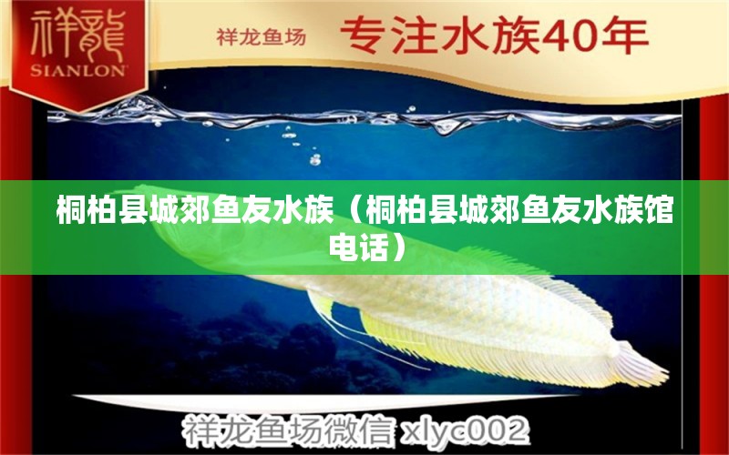 桐柏縣城郊魚友水族（桐柏縣城郊魚友水族館電話） 全國(guó)水族館企業(yè)名錄