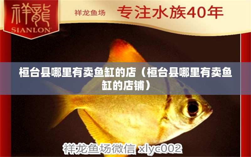 桓臺縣哪里有賣魚缸的店（桓臺縣哪里有賣魚缸的店鋪） 觀賞魚市場（混養(yǎng)魚）