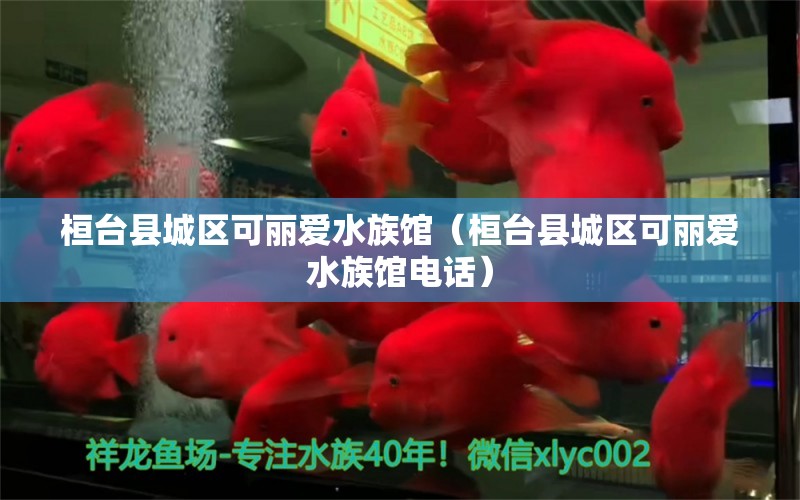 桓臺(tái)縣城區(qū)可麗愛(ài)水族館（桓臺(tái)縣城區(qū)可麗愛(ài)水族館電話） 全國(guó)水族館企業(yè)名錄