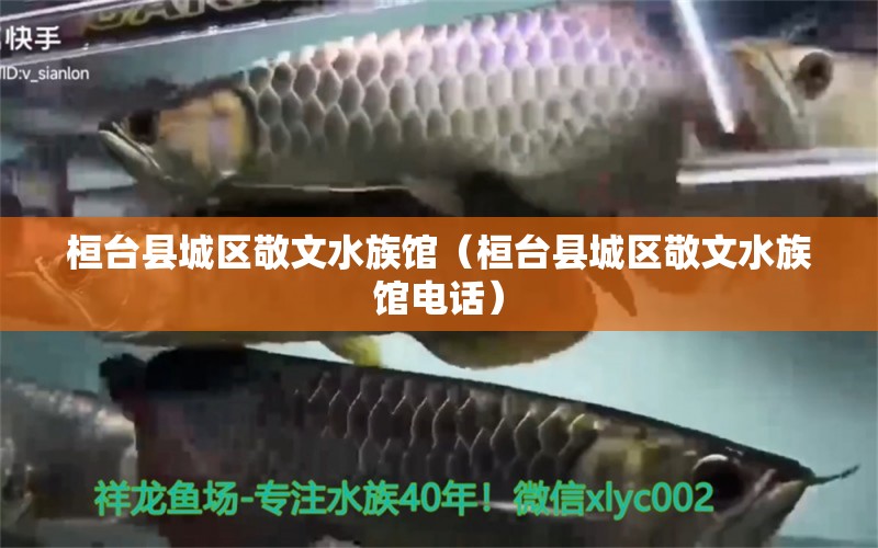 桓臺縣城區(qū)敬文水族館（桓臺縣城區(qū)敬文水族館電話） 全國水族館企業(yè)名錄