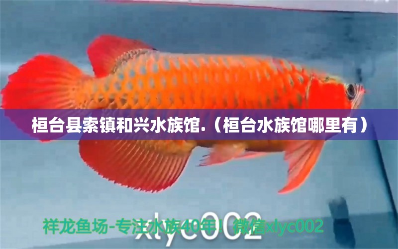 桓臺(tái)縣索鎮(zhèn)和興水族館.（桓臺(tái)水族館哪里有）