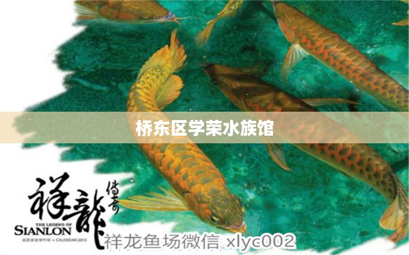 橋東區(qū)學榮水族館 全國水族館企業(yè)名錄