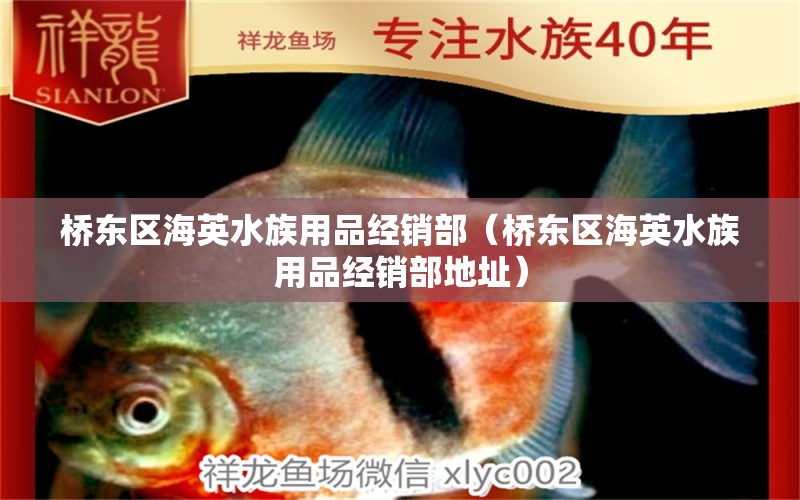 橋東區(qū)海英水族用品經(jīng)銷部（橋東區(qū)海英水族用品經(jīng)銷部地址） 水族用品