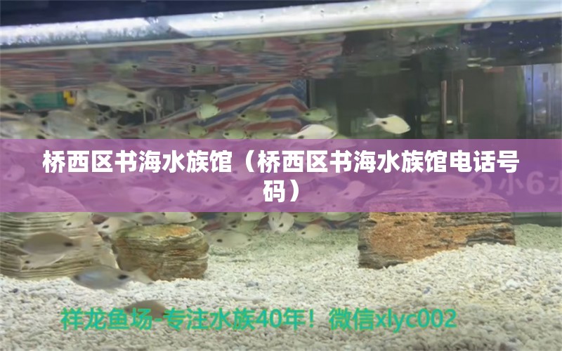 橋西區(qū)書海水族館（橋西區(qū)書海水族館電話號碼）