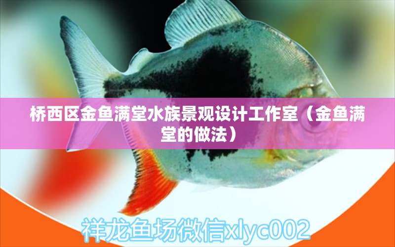 橋西區(qū)金魚滿堂水族景觀設(shè)計(jì)工作室（金魚滿堂的做法）