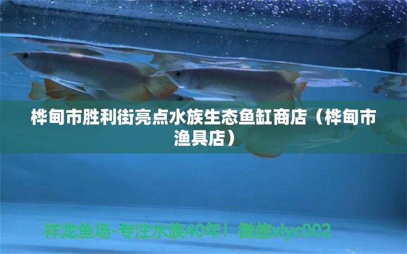 樺甸市勝利街亮點(diǎn)水族生態(tài)魚(yú)缸商店（樺甸市漁具店）